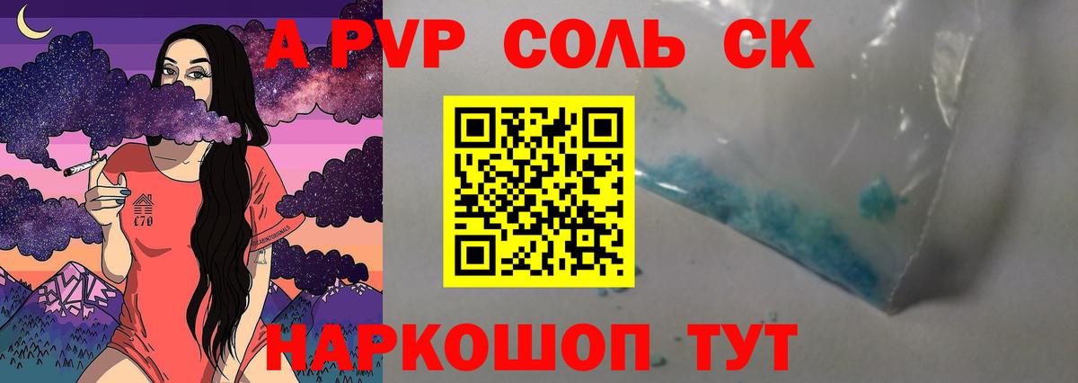 A-PVP СК Вологда