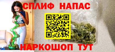 прущие грибы Камышлов