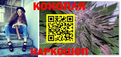 прущие грибы Камышлов
